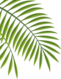 banner shape
